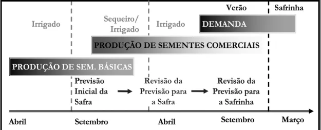 Figura 20: Dinâmica operacional da produção de sementes de milho. 