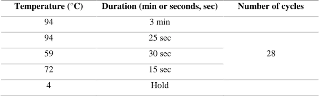 Table 3. 2. PCR cycling conditions for amplification of Hprt-Cre wt and mut. 