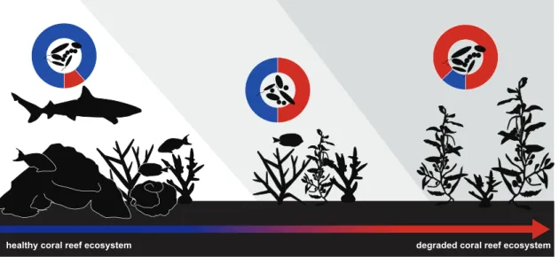 Figure 3. Coral reef ecosystems are increasingly affected by the intensification of environmental pressures emerging from land-use changes, overfishing, crown-of-thorns starfish outbreaks, coral diseases and climate change