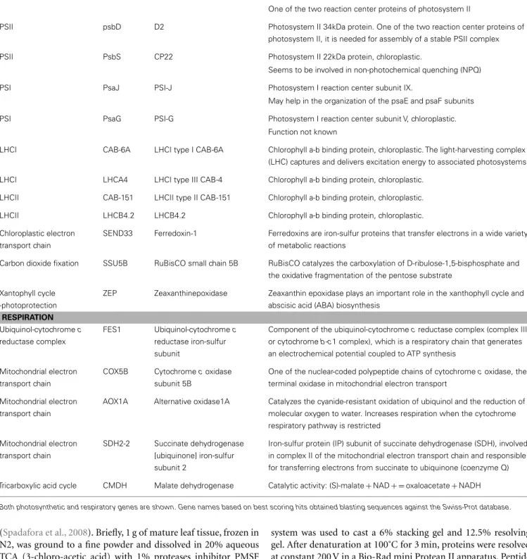 Table 2 | List of genes analyzed for assessing gene expression through RT-qPCR.
