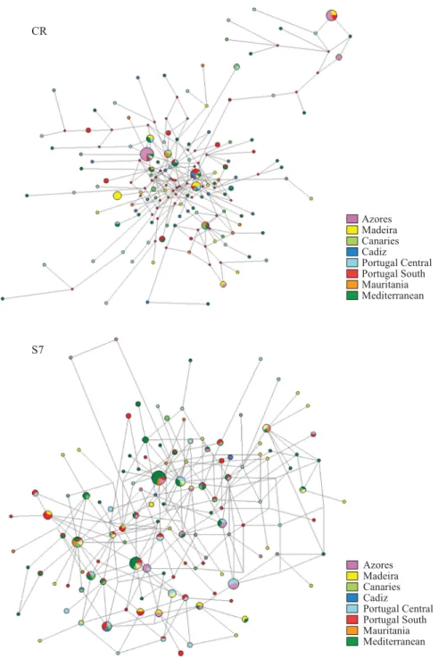 Figure 3 Haplotype relationships of D. vulgaris represented in a median joining network for mtDNA (CR) and nuclear DNA (S7)
