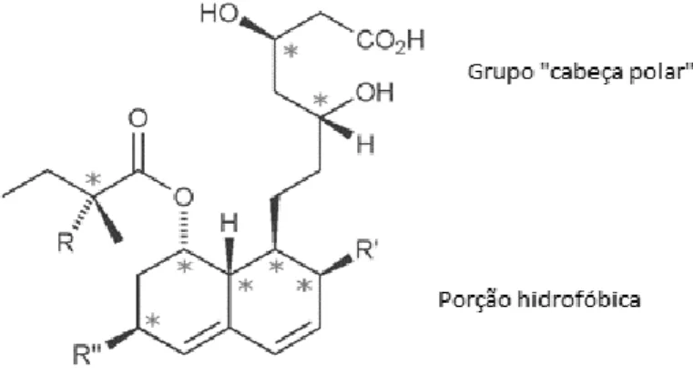 Figura 6.1-Estrutura geral de uma estatina de primeira geração  20