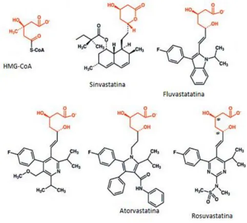 Figura 7.1-Representação dos farmacóforos (a vermelho) das estatinas e comparação                    com a HMG-CoA  26