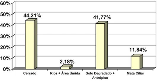 Fig  10.  Percentual de áreas ocupadas por vegetação natural e por áreas com  