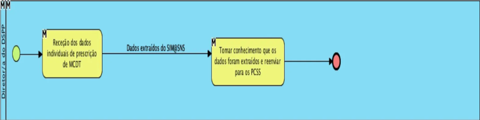 Figura IV – Workflow do circuito da informação do/a  DSPP  