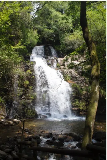 Figura 2. 8 - Foto do Parque da Cabreia, onde se pode observar a cascata. Fonte: Autora