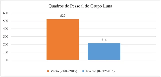 Gráfico 2 - Distribuição dos Quadros de Pessoal do Grupo Luna   (criação própria) 