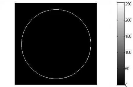 Figura 42: Imagem de 70 × 70 pixels com a borda de um círculo de 25 pixels de raio no centro.