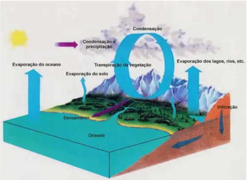 Figura 4.3 - O ciclo hidrológico da água  Fonte: &lt;www.igc.usp.br&gt; 