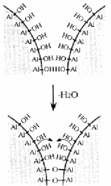 FIGURA 2.3: Modelo representando a desidroxilação superficial entre duas  hidroxilas adjacentes 