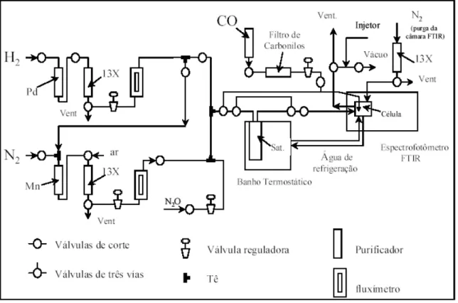Figura 4.2: Esquema da linha de gases utilizada nos ensaios de adsorção do CO. 