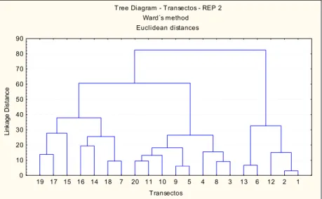 Figura 9. Dendograma demonstrando padrão não-monotônico acerca da densidade de indivíduos ao  longo dos transectos instalados, agrupadas as quatro faces, no fragmento florestal 2 da Fazenda  Trindade, Guarapuava, PR