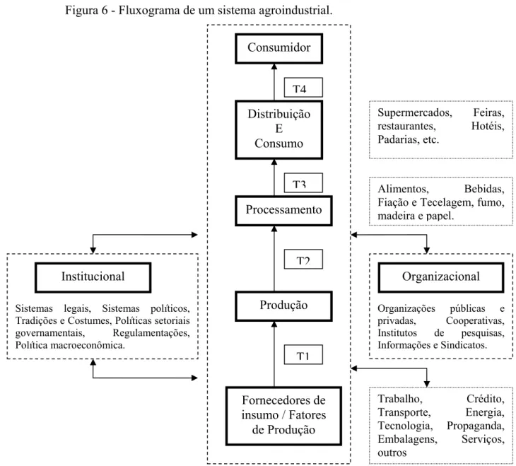 Figura 6 - Fluxograma de um sistema agroindustrial. 