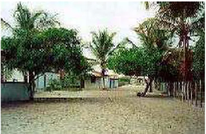 Figura 14: Vila de Caraíva 