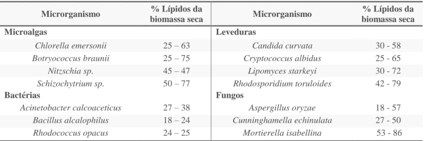 Tabela 1. Conteúdo lipídico de alguns microrganismos oleaginosos  9,14,28,27,31,34 .  