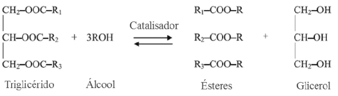 Figura  3.  Representação  esquemática  da  reação  geral  de  transesterificação  de  TAG  com  álcool