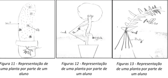 Figura 11 - Representação de  uma planta por parte de um 