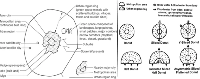 Figura 7. Esquerda: conceitos e termos das regiões urbanas. Direita: modelo ‘donut’. Fonte (Forman 2008, 6) 