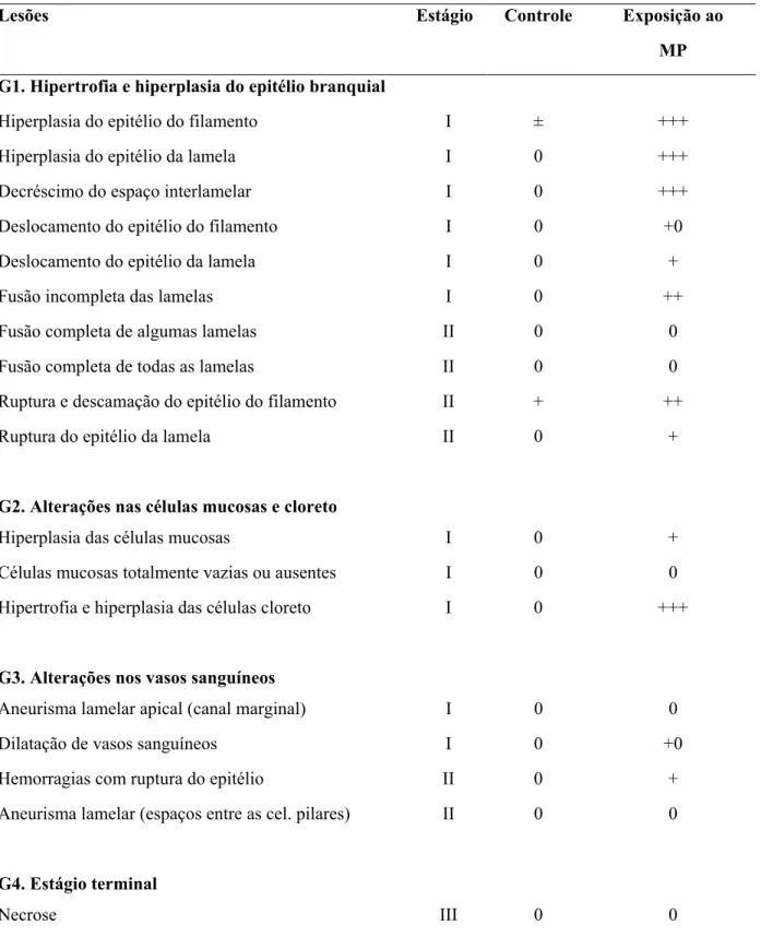 Tabela 1 – Histopatologia das brânquias de B. cephalus (n = 6 cada grupo) do grupo controle e grupo  exposto a 2ppm de MP durante 96 horas, indicando a classificação das lesões em estágios de acordo com  Poleksic and Mitrovic–Tutundizic (1994)  e modificad