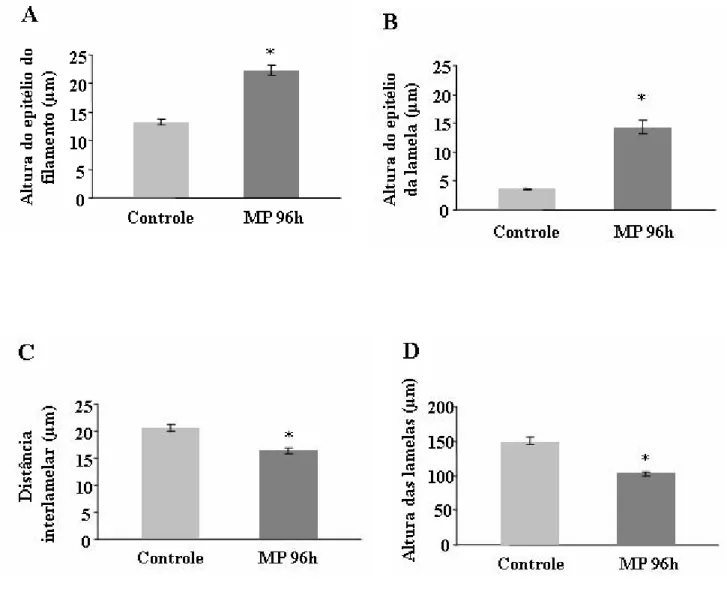 Figura 9. Valores médios (± SEM) da altura do epitélio do filamento branquial (A) e das lamelas (B), da distância  interlamelar (C) e da altura da lamela (D) de B