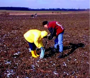 Fig. 4.3 Collecting of soil samples (photo: R. Kucharski)