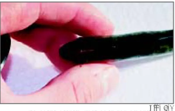 Fig. 6.1 Fish-based assessments have the highest power to detect change in riverine ecosystems (photo: Z