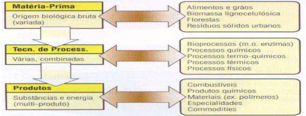 Figura 2.1: Esquema geral de uma biorrefinaria utilizando diferentes tipos de biomassa (Giordano, 2004)