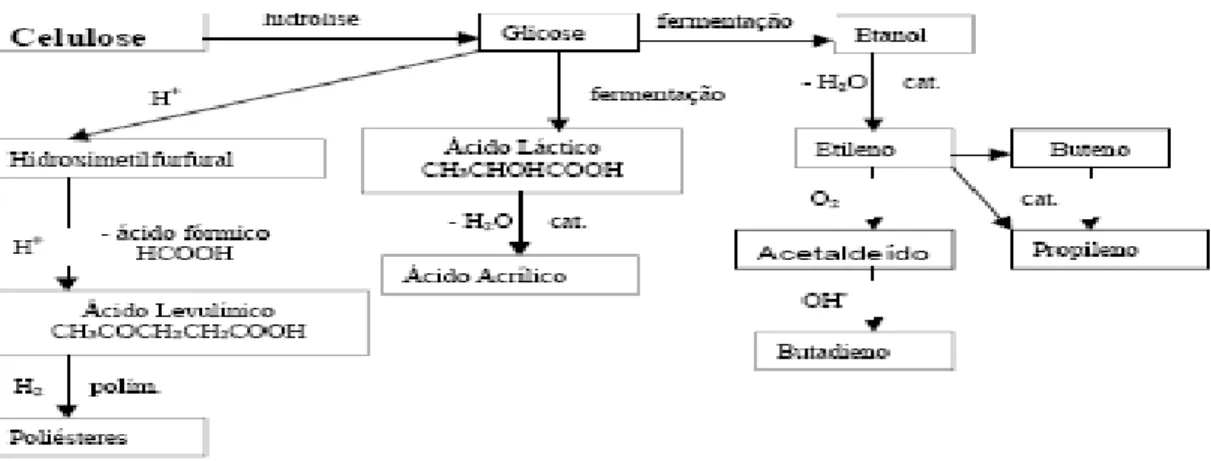 Figura 2.3: Produção de produtos químicos por diferentes vias reacionais a partir da hidrolise da celulose.