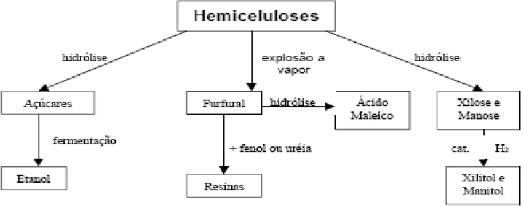 Figura 2.4: Formação de vários produtos a partir a hemicelulose, utilizando a hidrolise e explosão a vapor  (Schuchardt, 2000).