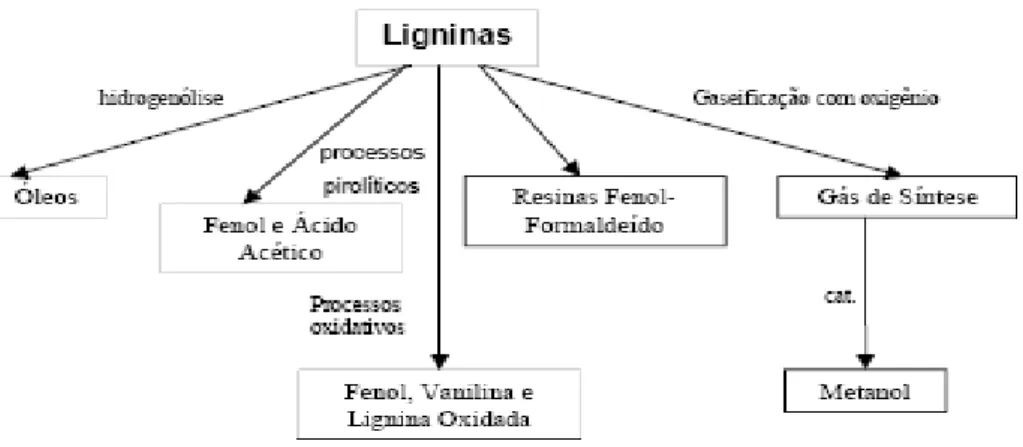 Figura 2.5: Síntese de novos produtos a partir da lignina proveniente de resíduos lignocelulósicos (Schuchardt,  2000)