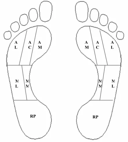 Figura 3 – Representação da divisão dos pés em seis áreas anatômicas. RP – retropé, MM – médio-pé  medial, ML – médio-pé lateral, AM – antepé medial, AC – antepé central e AL – antepé lateral