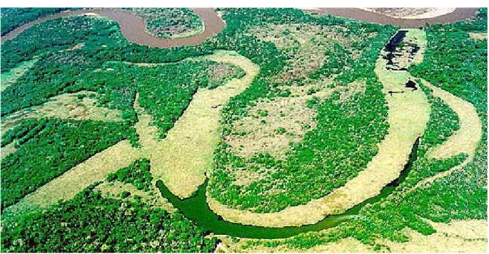 Figura 5: Foto aérea da Lagoa do Óleo (Fonte: LAPA/UFSCar). 