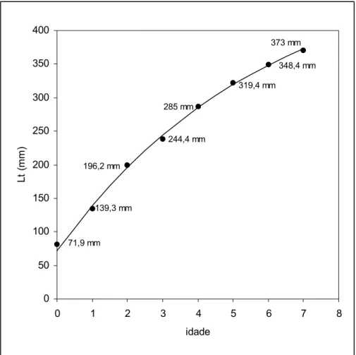 Figura 8. Curva de crescimento de Macrodon ancylodon ajustada ao modelo de von  Bertalanffy e indicação dos comprimentos médios na idade (chave comprimento-idade), para  a região sudeste do Brasil no período entre abril de 1997 e abril de 1998