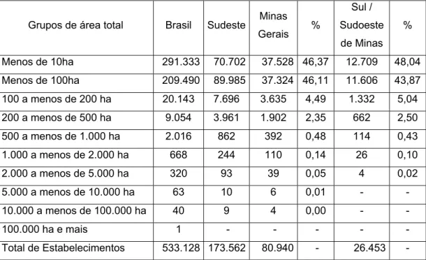 Tabela 2.3 – Número de estabelecimentos por área no Brasil, Sudeste, Minas Gerais e  Sul/Sudoeste de Minas 