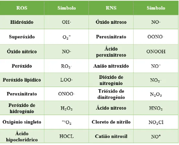 Tabela 1.1 - Diferentes espécies reativas de oxigénio e de azoto (adaptado de [76]). 