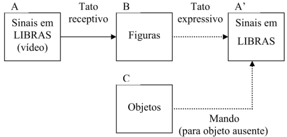 Figura 3.  Rede de relações utilizada para treino do tato receptivo e para testes do tato  expressivo e do mando
