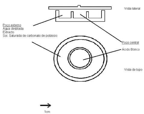 Figura 8. Esquema de Célula de Conway (vista de topo e vista lateral). 