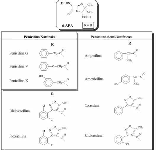 Figura 2   Família das penicilinas. 6-APA: ácido 6-amino penicilânico. 