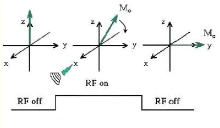 Figura 2.7 – Efeito da aplicação de um pulso de RF de 90º, na magnetização transversal [47]