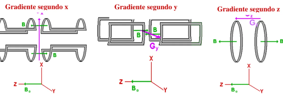 Figura 2.22 – Esquema das bobines responsáveis pelos gradientes de campo aplicados segundo as 3  direções possíveis do espaço [31].
