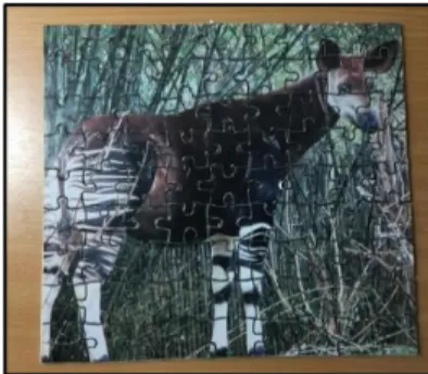 Figura 4: Puzzle do ocapi. 
