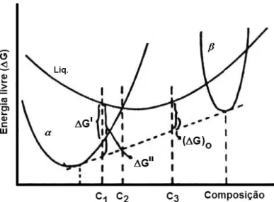 Figura 2.9 Representação esquemática da energia livre de formação de fases  em função da composição [54]