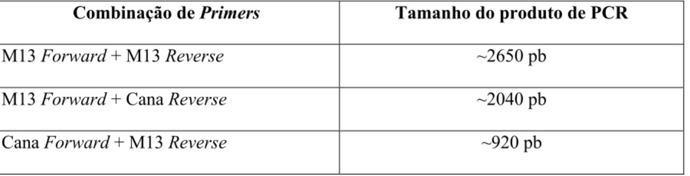 Tabela 1 – Tamanhos esperados dos produtos de PCR usando diferentes combinações de  primers para bacmídeos contendo o gene de interesse após transposição