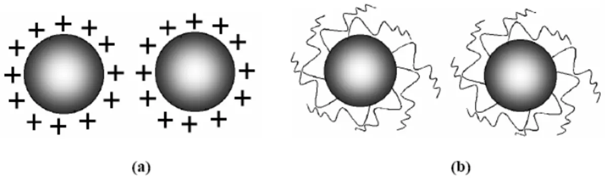 Figura 1 : Exemplos de mecanismo de estabilização de partículas de soluções coloidais: (a)  estabilização eletrostática e (b) estabilização por efeito estérico Zanchet (2000)