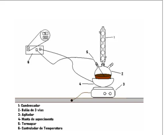 Figura 4.1 – Esquema de preparação das Nanopartículas de Pt. 