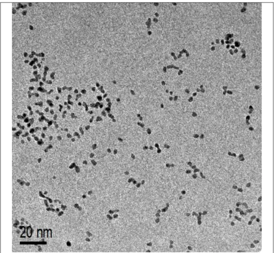 Figura 5.2 – Imagem de TEM das partículas sintetizadas estabilizadas pelo PVP 