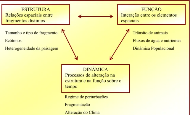 Figura 8 - Principais componentes da paisagem e listagem de alguns fatores formadores