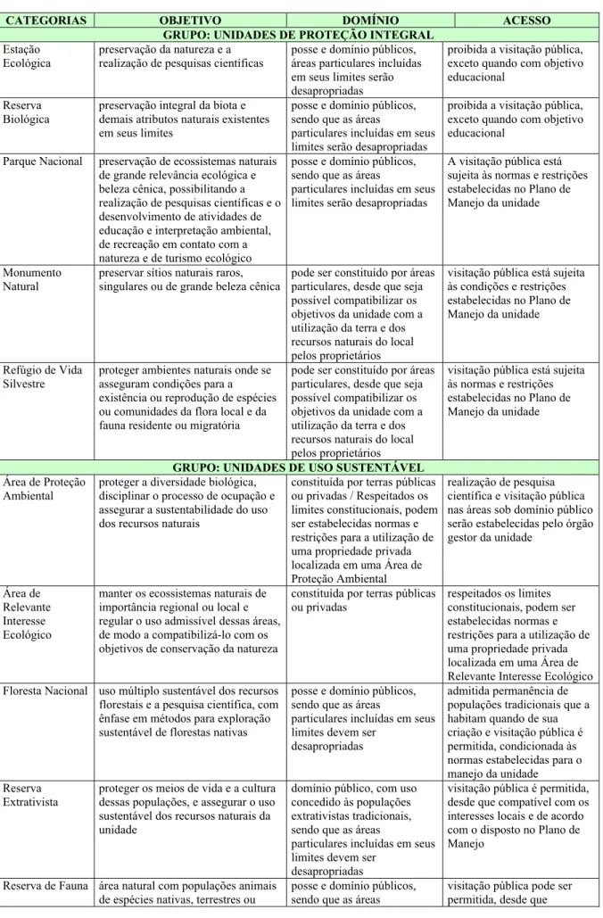 Tabela 4 – Resumo das categorias das UCs, objetivos, domínio e acesso 