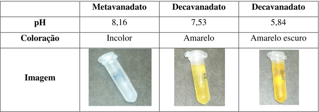 Tabela I – Registo do pH e da coloração obtida pelos diferentes oligómeros do vanádio 
