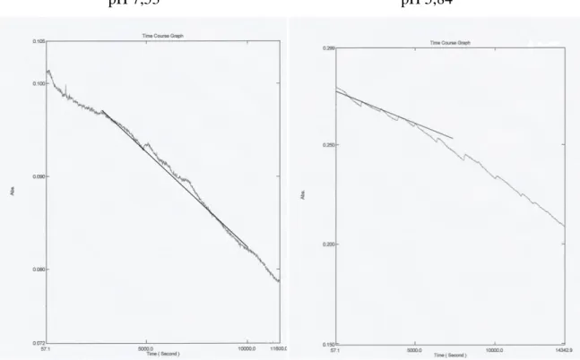 Figura 8 – As curvas da desoligomerização do ensaio 1 (imagem a esquerda)   e do ensaio 2 (imagem a direita)